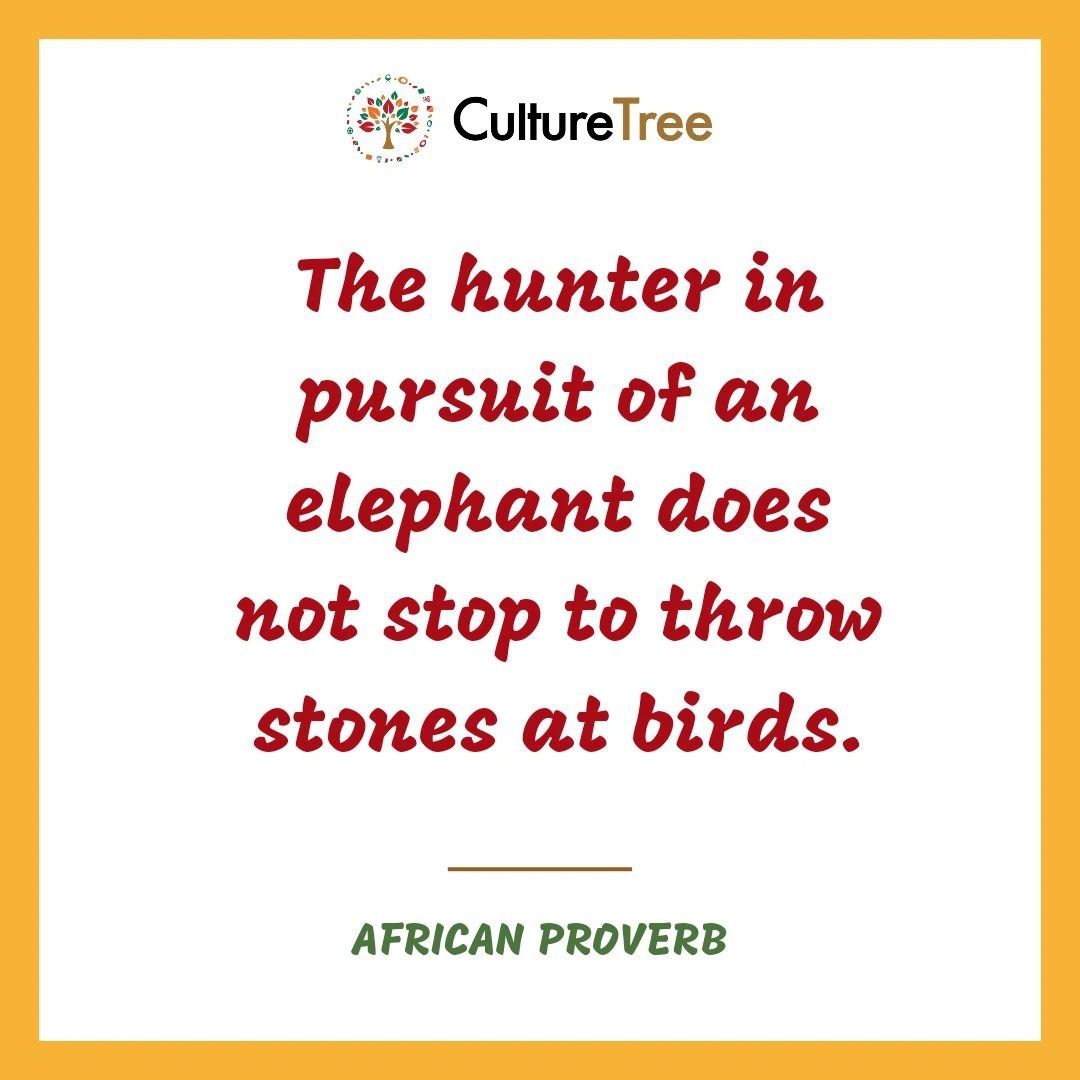 The hunter in pursuit of an elephant does not stop to throw stones at birds