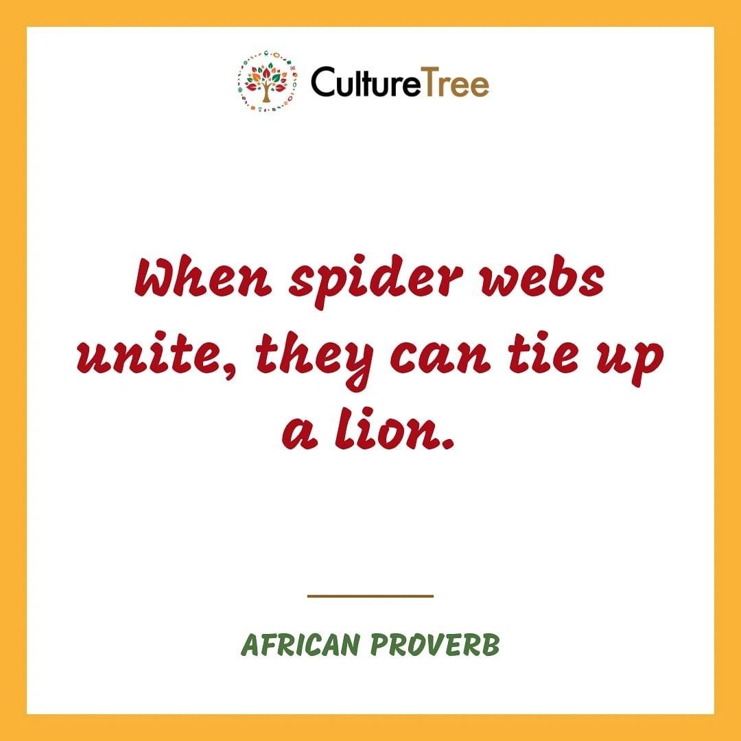 When spider webs unite, they can tie up a lion. African proverb